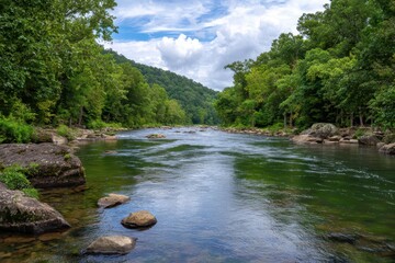 Fototapeta premium Serene mountain river flowing through lush green forest under a cloudy sky