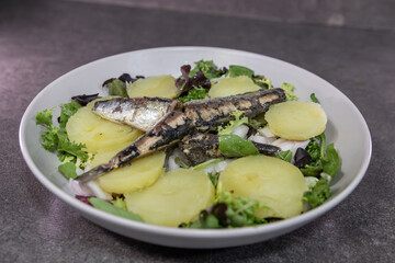 Gourmet sardine salad seasoned with potatoes, green leaves, and onions, creating a healthy and flavorful dish