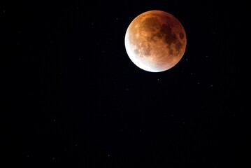 full moon in the night