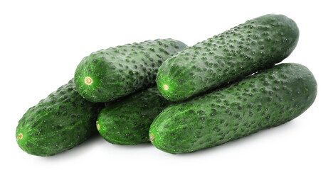 Many fresh green cucumbers isolated on white