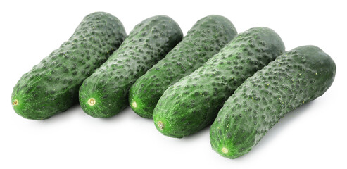 Many fresh green cucumbers isolated on white
