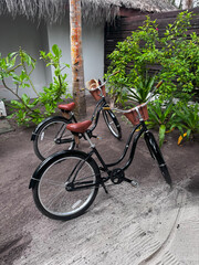 Tropical courtyard with vintage black bicycles — slow travel and eco resort vibe concept