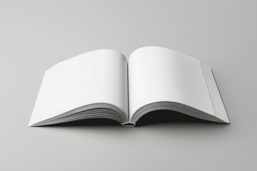 Open book, blank pages, grayscale studio shot