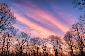 Obraz premium Silhouette trees against a vibrant pink sunset sky