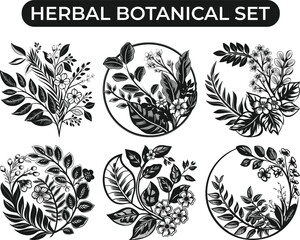 Herbal Plant Illustration Vector Set | Natural Healing Foliage and Organic Botanical Collection