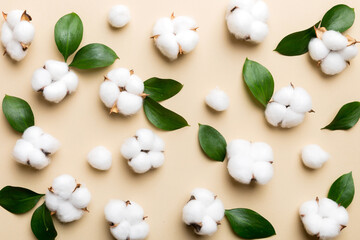 Autumn Floral Flat lay background composition. Dried white fluffy cotton flower branchwith green...