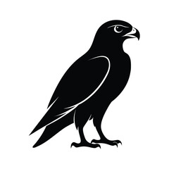 Obraz premium Majestic falcon silhouette in flight isolated on white background