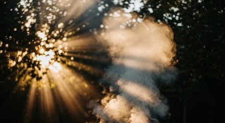 Ethereal Smoke Dancing in Golden Sunlight Through Trees, Creating a Dreamlike Atmosphere