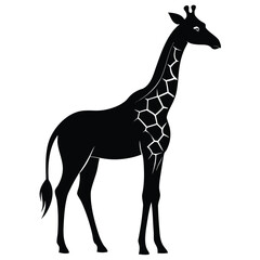 Elegant giraffe silhouette a graceful african animal isolated on white background