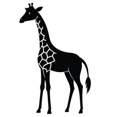 Obraz premium Elegant giraffe silhouette graphic illustration isolated on a clean white background isolated on white background