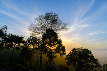 A beautiful landscape featuring silhouettes of trees against a vibrant sunrise or sunset sky