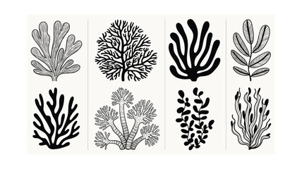 Botanical Illustration Set: Minimalist Seaweed and Algae Designs for Nature-Inspired Decor and Creative Projects with Clean Aesthetic and Modern Touch, Eight Illustrations