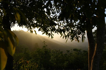 a beautiful landscape showing a stunning sunset with sunlight peeking through trees and mountain. The leaves add to the beautiful scene