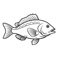 Detailed outline illustration of a grouper fish with clean lines presented isolated on white background
