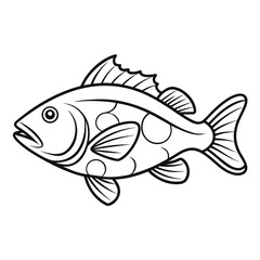 Outline illustration of a grouper fish a marine creature isolated on white background