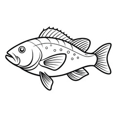 Detailed outline of a grouper fish in a clean vector illustration isolated on white background