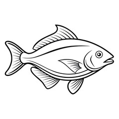 Detailed halibut fish outline illustration isolated on white background