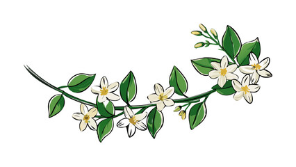 Delicate white blossoms and vibrant green leaves adorn a gracefully curved branch against a dark background