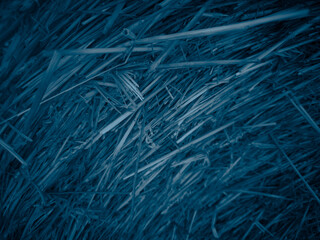 Cyanotype stylized straw texture with diagonal lines, abstract rural background