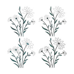 Minimal Daisy Flower Set – Line Art and Partially Colored Floral Vector