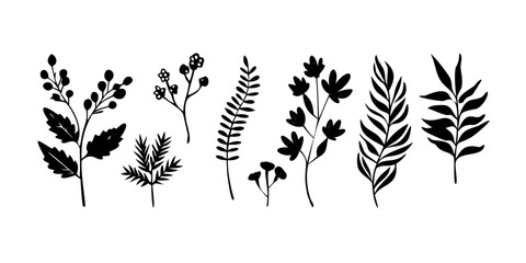 Set of leaves silhouette of beautiful plants, leaves, plant design. Vector illustration .Minimal feminine botanical floral branch in silhouette style. Hand drawn wedding herb, minimalistic flowers
