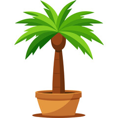 Palm tree in a pot isolated on white background. Vector illustration.