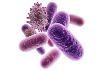 Microscopic Bacteria Organism Isolated on White Background