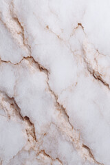 Fototapeta premium seamless and elegant marble texture background with intricate veining and flecks