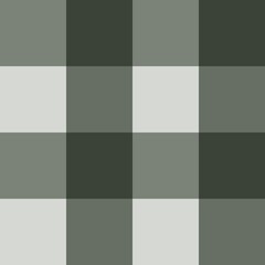 	
green gingham fabric

