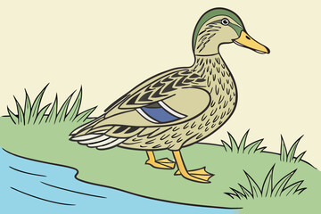 Obraz premium duck on the water
