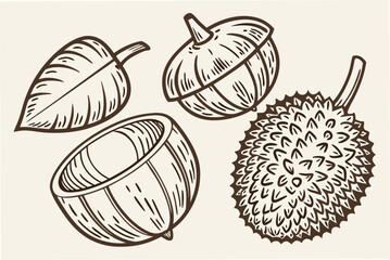 vector illustration of an apple