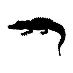 Obraz premium crocodile silhouette illustration isolated on transparent background 