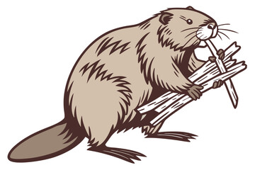 vector illustration of a Beaver