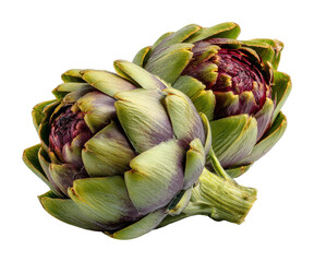 Obraz premium Harvesting fresh artichokes farm field food natural view isolated on transparent background