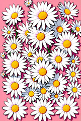 White daisies blooming in sweet harmony of love.