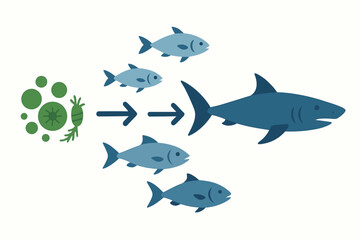 Fototapeta premium Ocean Predator-Prey Diagram – Flat Biology Vector