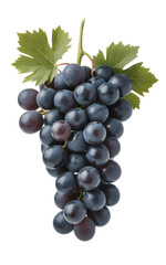 Fototapeta premium bunch of grapes isolated on transparent background 