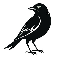 bird silhouette vector art design.