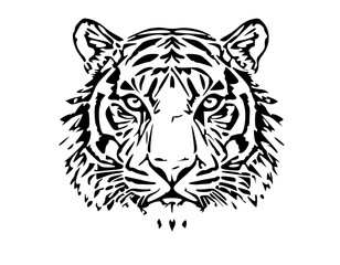Fototapeta premium tiger head vector