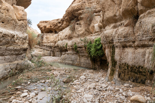 The indescribable  splendor of nature in the Arugot Stream Nature Reserve near Dead Sea in southern Israel