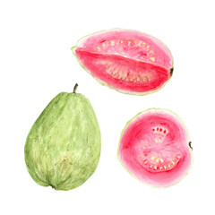 Guava whole green fruit, pink slices. Hand painted textured watercolor set isolated on white. Perfect for summer textiles, cards, label, eco-friendly packaging, kitchen decor, tropical fruit branding