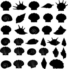 A collection of black silhouette illustrations depicting various types of seashells, including scallops, conches, and spiral shells arranged in a grid.