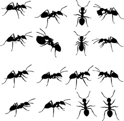 Collection of ant silhouettes in various poses, including side, front, and angled views, showcasing their anatomy.