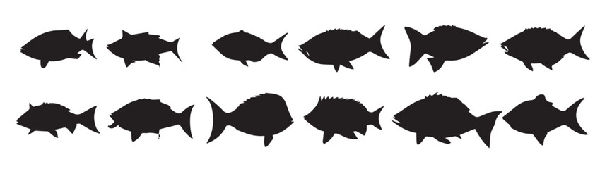  fish silhouette set in white background