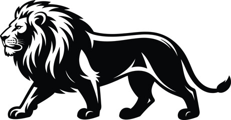 Obraz premium Majestic lion walking silhouette with detailed mane