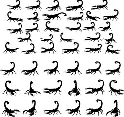 Multiple black scorpion silhouettes arranged in rows and columns, showcasing various poses and orientations against a white background.