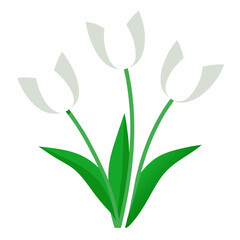 Obraz premium vector illustration of a flower