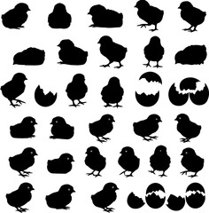 A collection of black silhouette illustrations depicting various poses of baby chicks and cracked eggshells, arranged in a grid pattern.