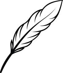 Fototapeta premium Single Black Feather with Intricate Details Doodle