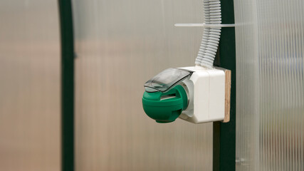 An unconventional method of protecting agricultural crops in a greenhouse from harmful whitefly. A...